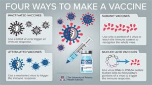 can rsv and covid vaccine be given together