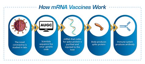 is the rsv vaccine mrna technology