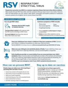 rsv vaccine fact sheet pdf