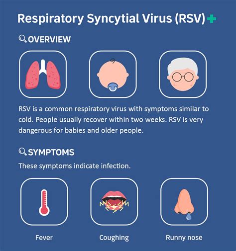 rsv vaccine reaction symptoms